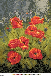 А3-16-078