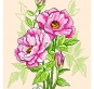 А4-16-120