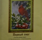 Набір для вишивки бісером С-59 "Перший сніг"