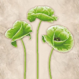 Картинка під бісер ТК-062