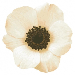 Картинка під бісер ТК-066