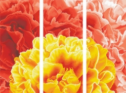 Картинка під бісер ТК-082